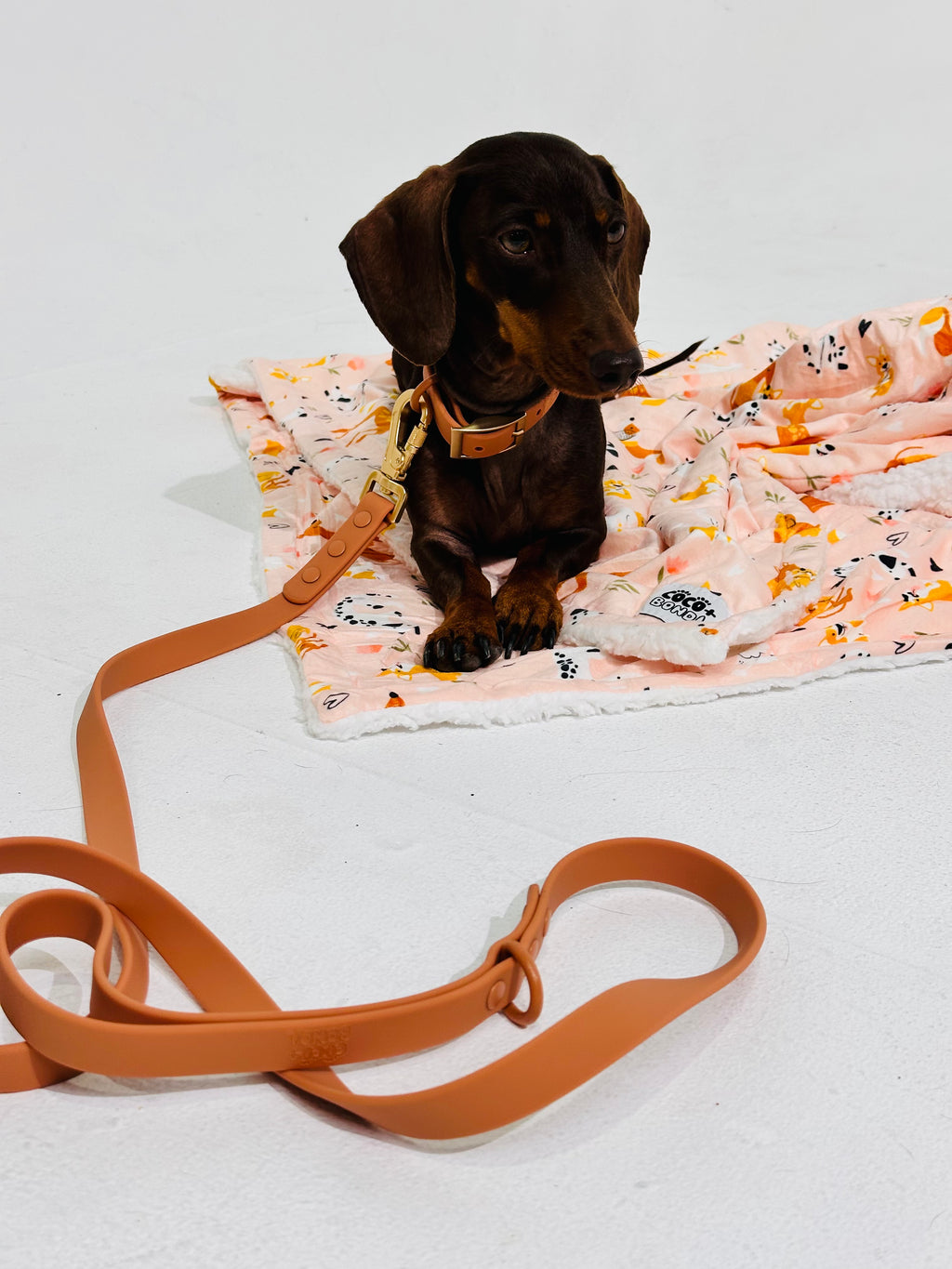 Peach Waterproof Dog Leash