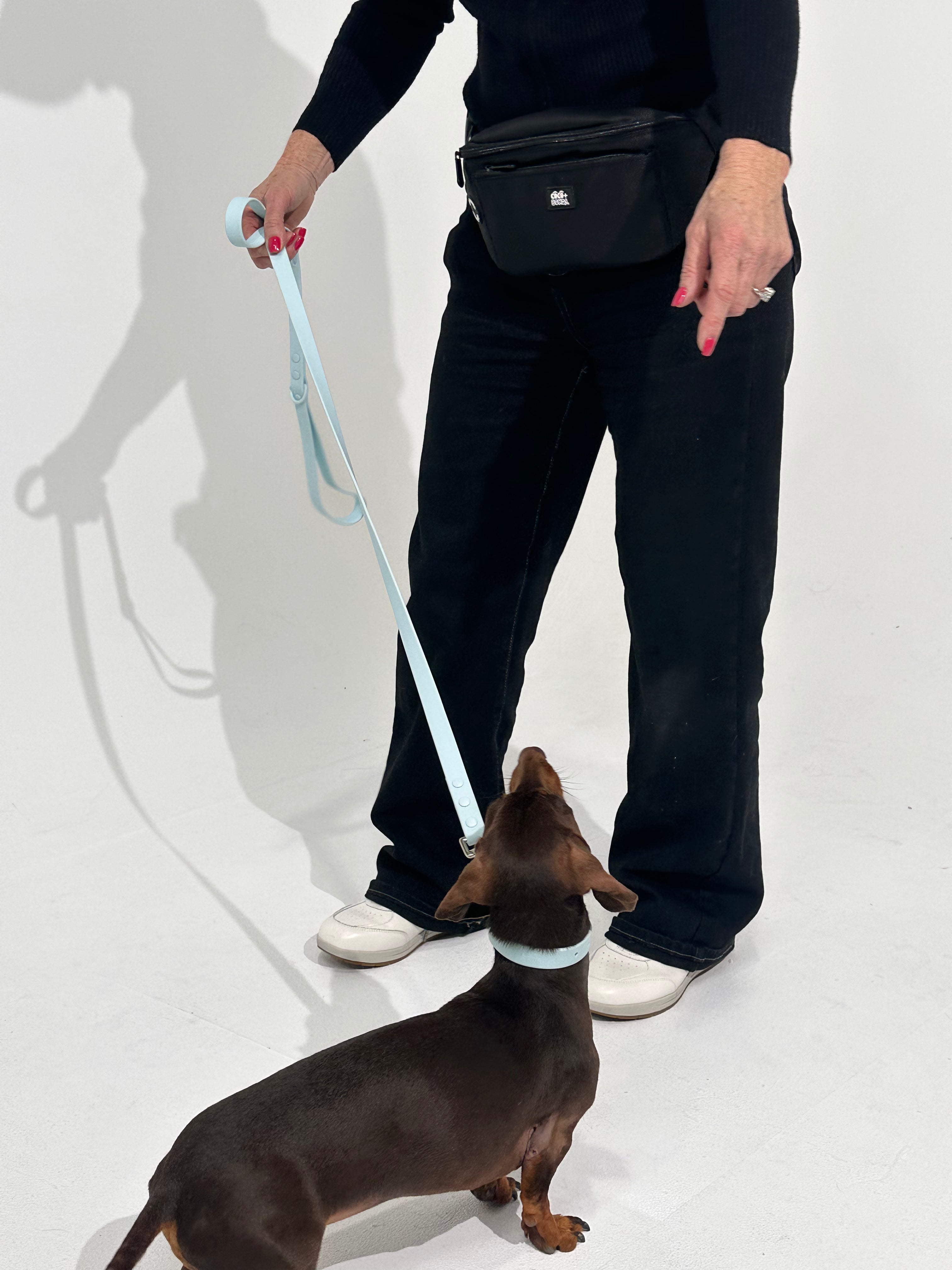 Sky Blue Waterproof Dog Collar – Lightweight, Adjustable & Easy to Clean