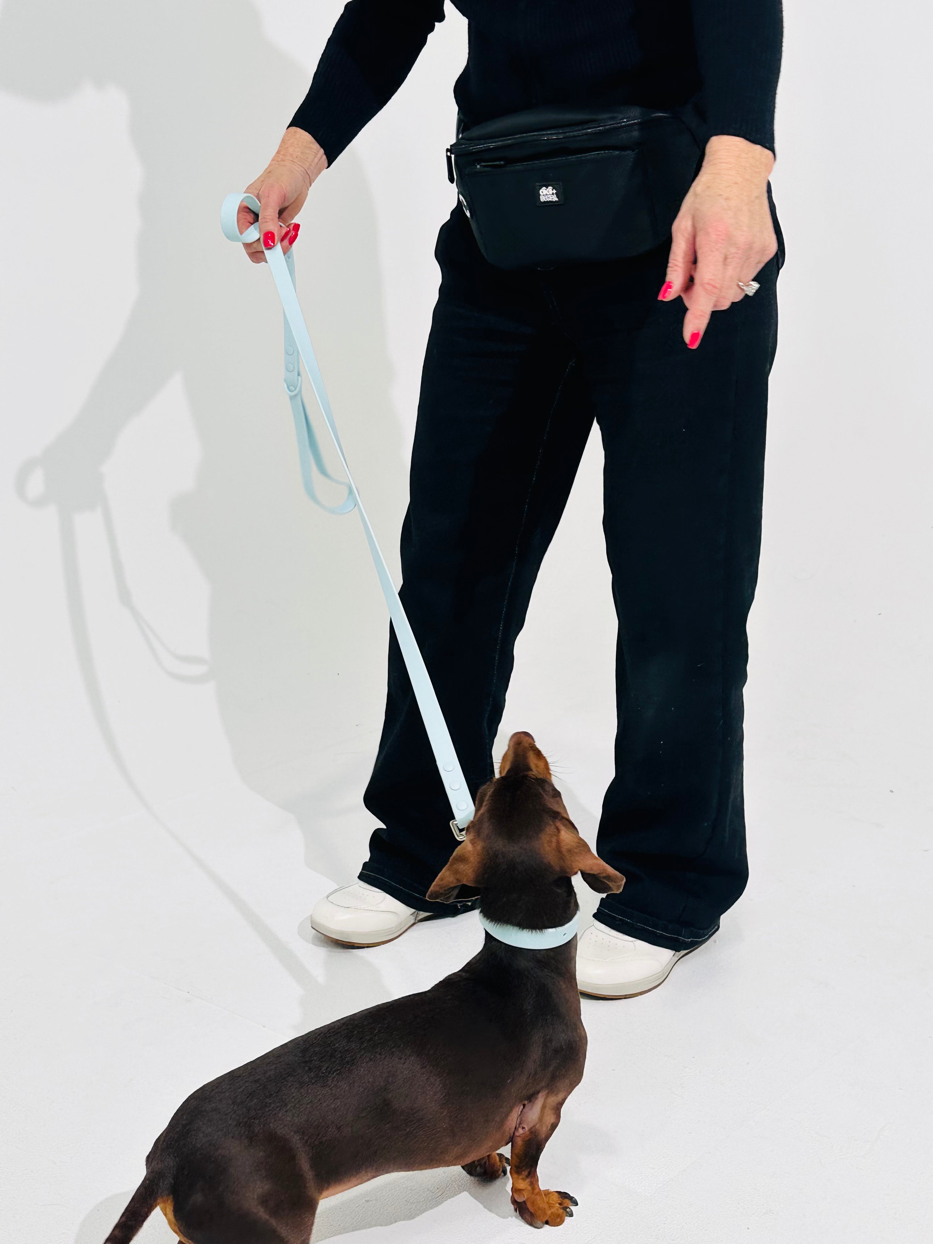 Sky Blue Waterproof Dog Leash