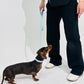 Sky Blue Waterproof Dog Leash