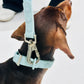 Sky Blue Waterproof Dog Leash