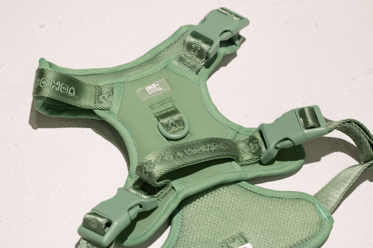 Sage Green No-Pull Dog Harness – Adjustable, Secure & Stylish