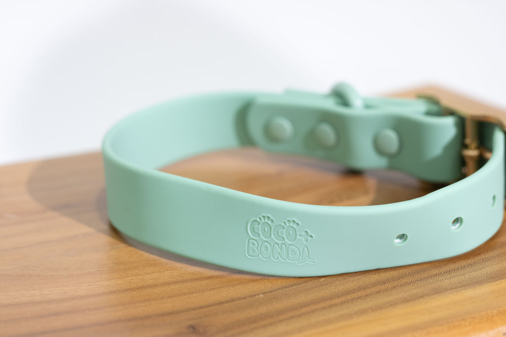 Sage Green Waterproof Dog Collar – Lightweight, Adjustable & Easy to Clean