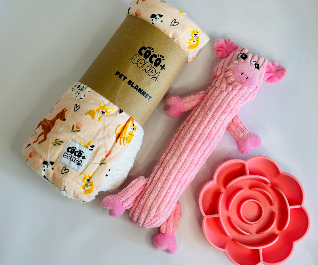 Comfy and Fun Set