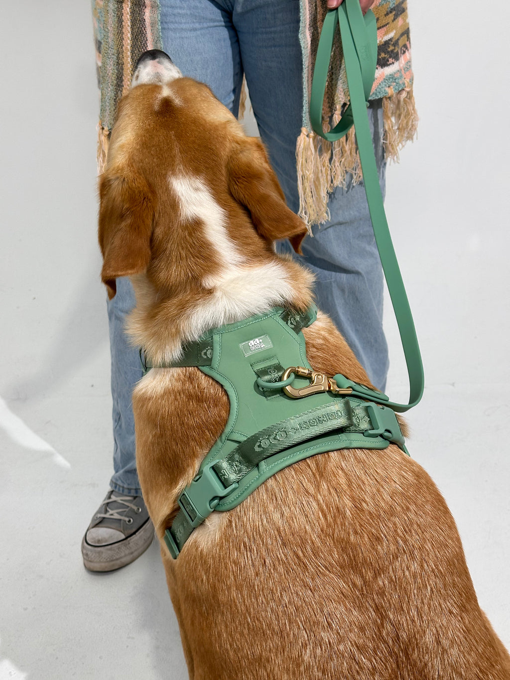Sage Green No-Pull Dog Harness & Waterproof Classic Leash Set