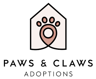 Coco+Bondi_Supports pets fundation_Paws&Claws