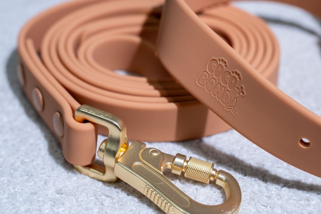 Peach Waterproof Dog Leash