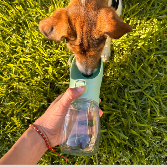 Portable Pet Water Bottle - Green Colour