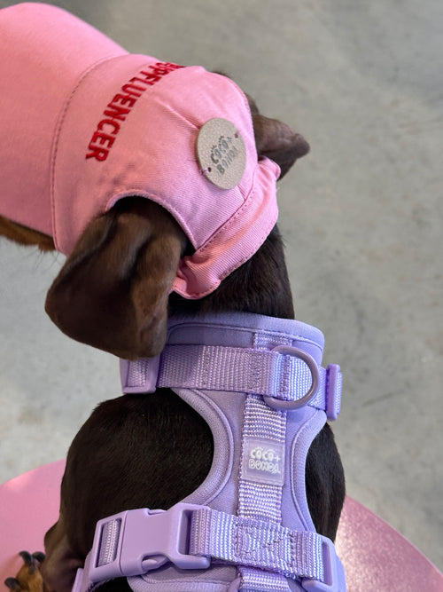 "Pupfluencer” Dog Hat – Adjustable, Breathable & Sun-Safe