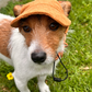 The Salted Caramel Dog Hat