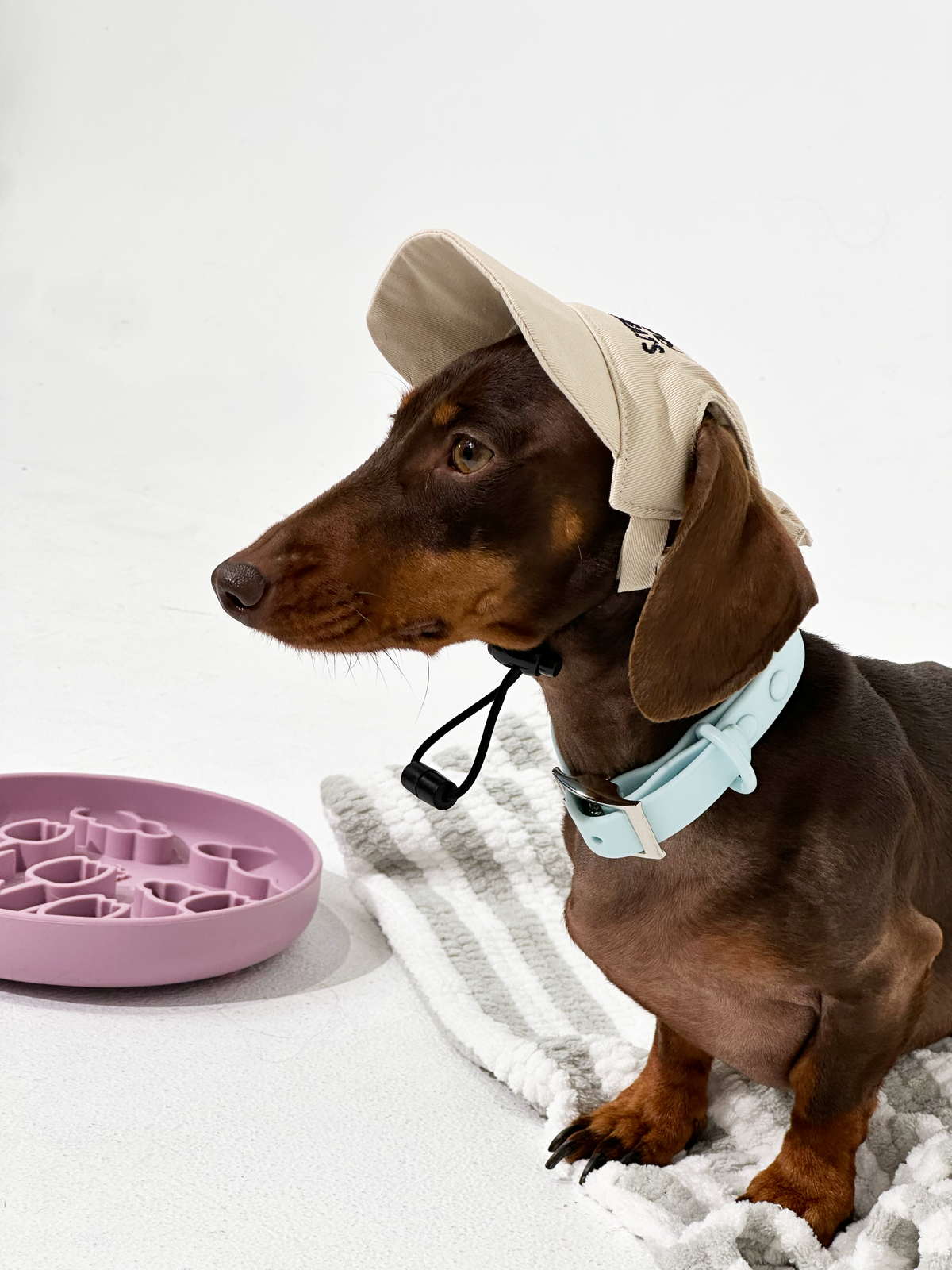 Sky Blue Waterproof Dog Collar – Lightweight, Adjustable & Easy to Clean