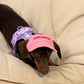 "Pupfluencer” Dog Hat – Adjustable, Breathable & Sun-Safe