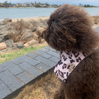 LEOPARD BANDANA