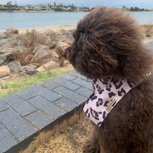 LEOPARD BANDANA