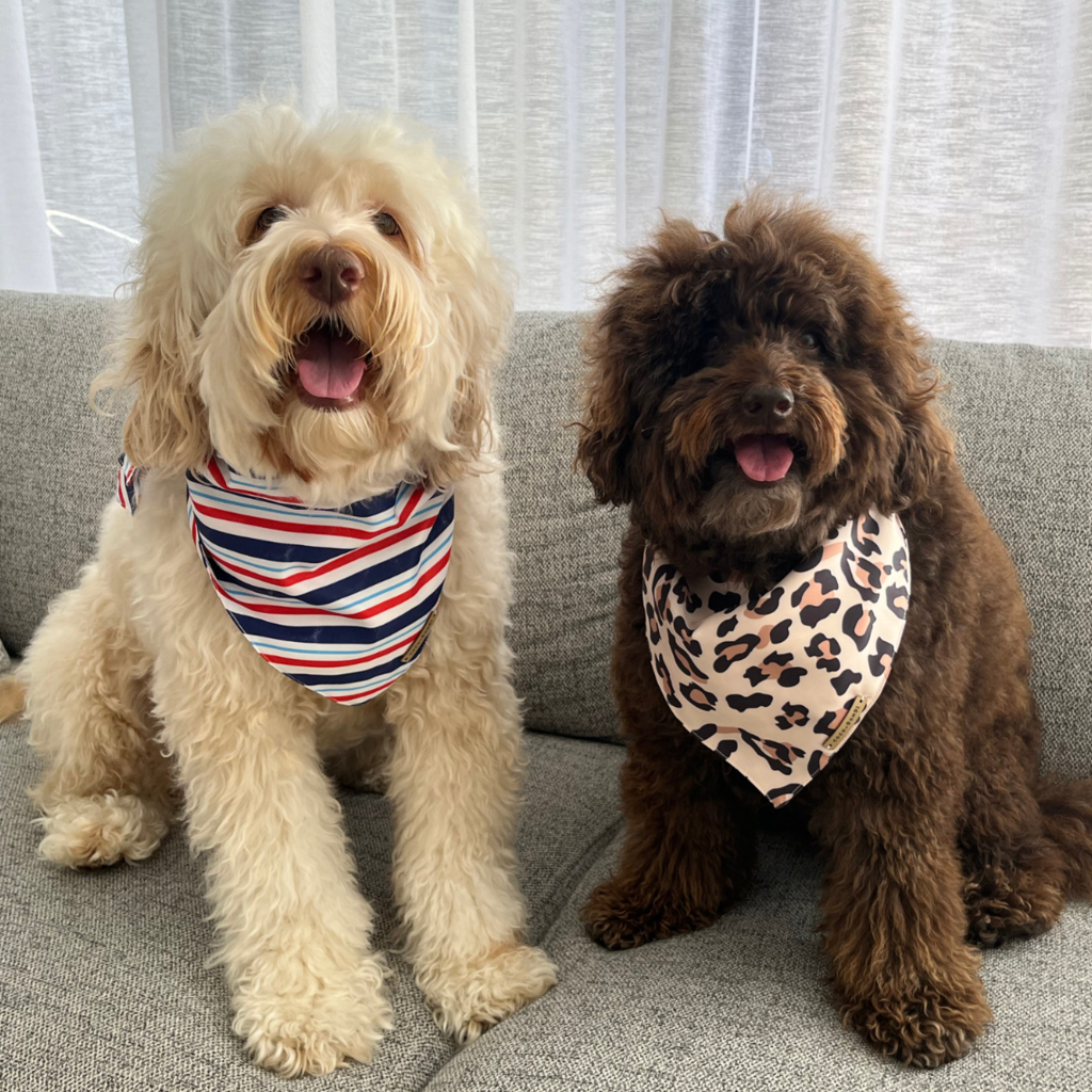 ARNOL BANDANA