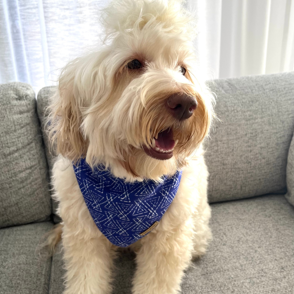 SNOW BANDANA