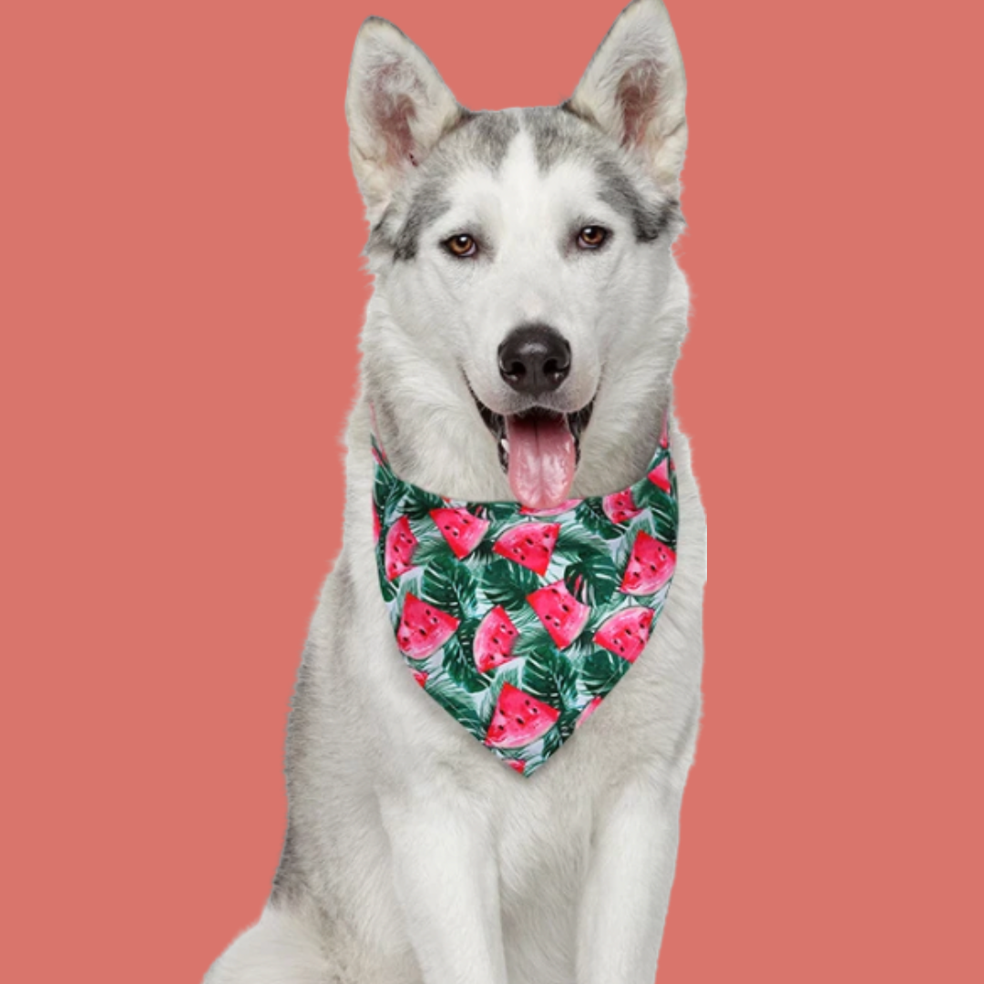 JUICY SUMMER BANDANA